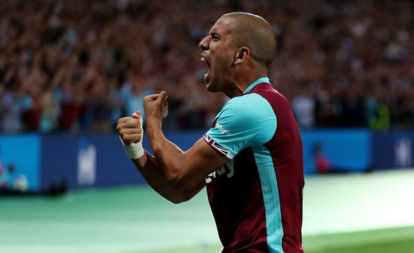 feghouli-wh