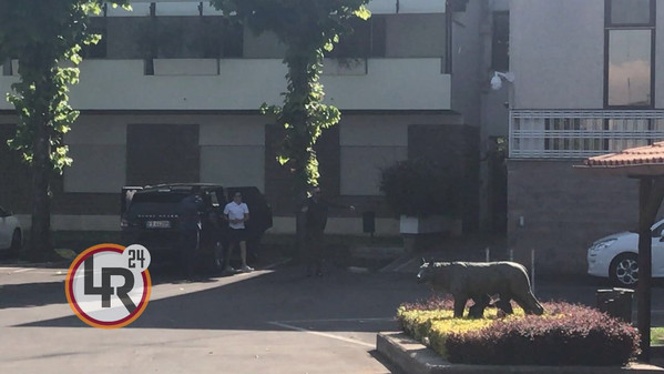 mario-rui-a-trigoria