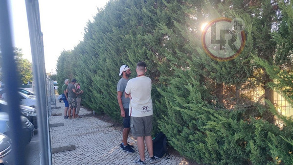 photo_2021-07-28_20-49-05