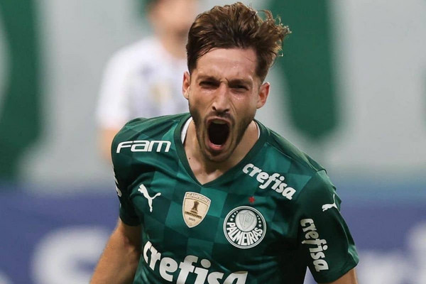 vina-palmeiras-esulta