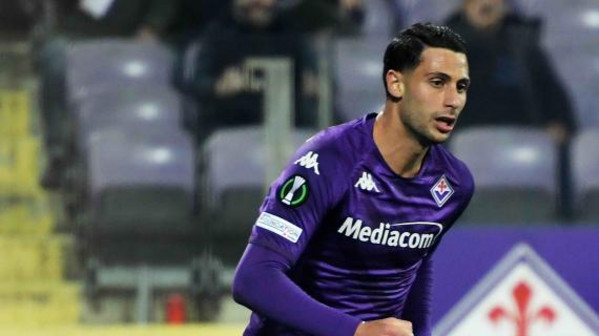 mandragora-fiorentina