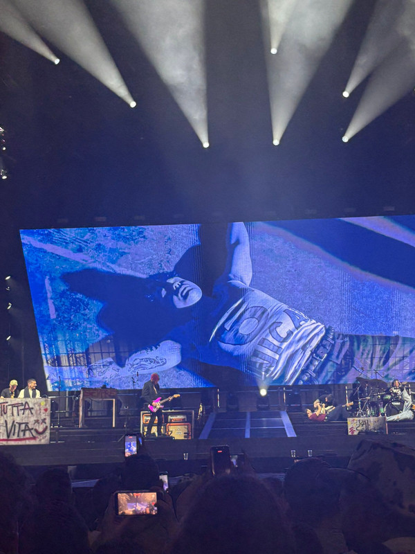 olly